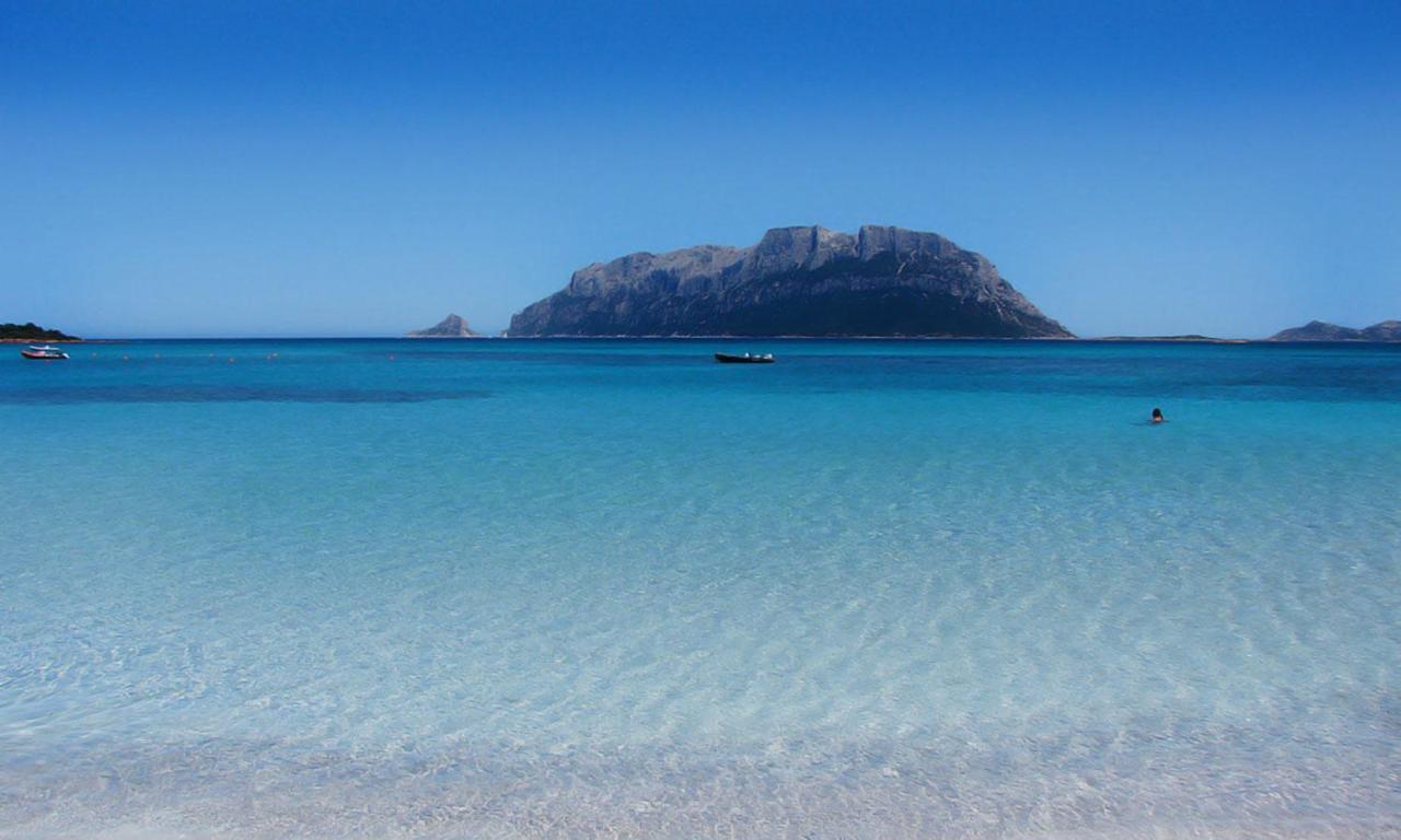Pittulongu, Trilocale Vista Mare Villa Olbia Exteriör bild